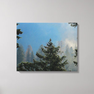 Trees Wrapped Canvas