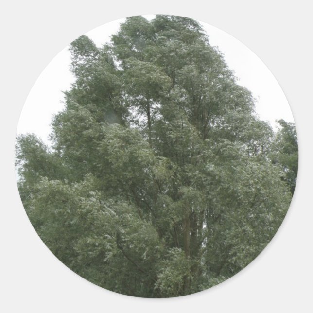 Treetops Stickers (Front)