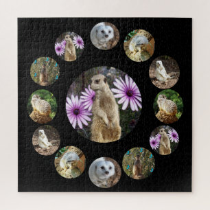 Treize Meerkats Surprise, Jigsaw Puzzle