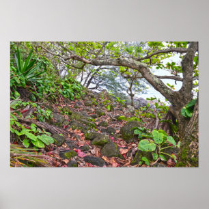 Trekking the Kalalau Trail, Napali Coast, Kauai Poster