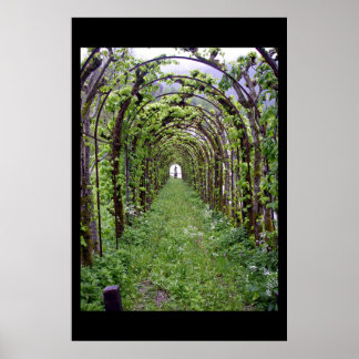 Trellis Tunnel - Germany Poster
