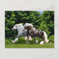 "Tremayne & Caspian" Postcard