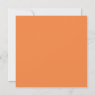Trend Colour - Fresh Tangerine Solid Flat Card