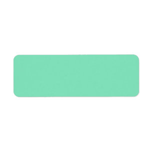 Trend Colour - Minty Green Return Address Labels