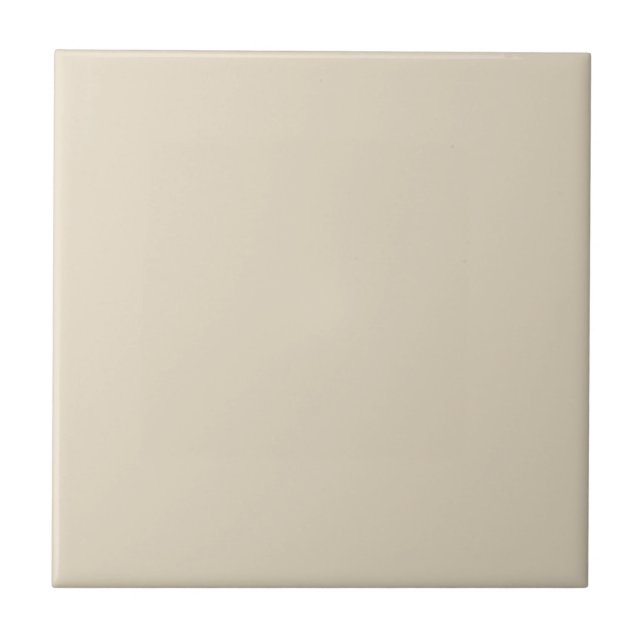 Trend Colour  Natural Beige Decorative Ceramic Til Tile (Front)