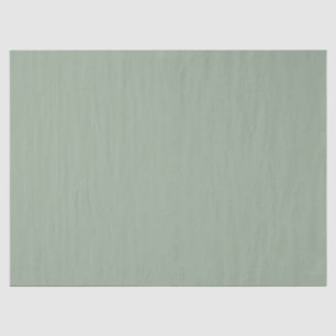 Trend Colour Soft Sage Tissue Paper