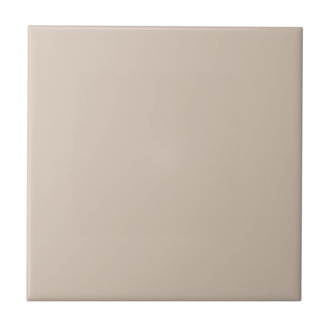Trend Colour - Soft Taupe Ceramic Tile (Front)