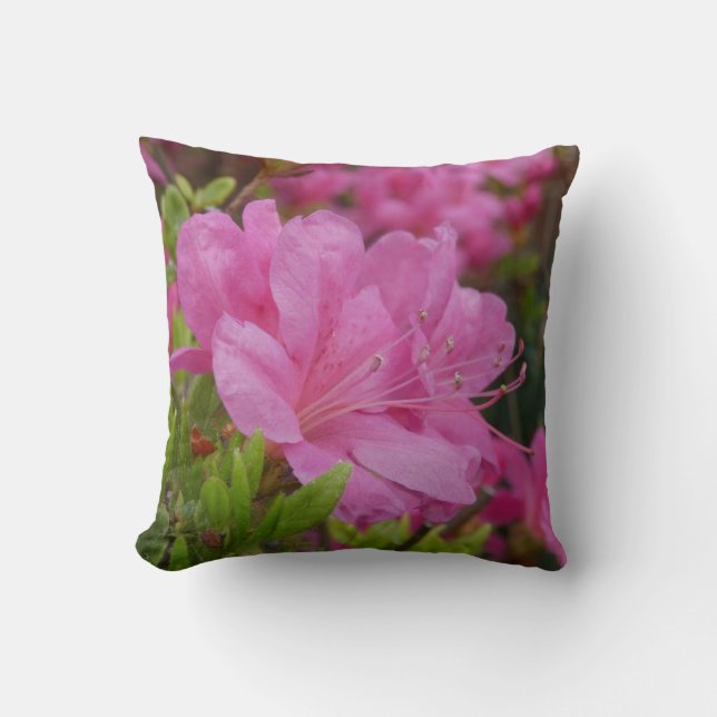 Trend Throw Pillow With Picture Of Rhododendron (Front)
