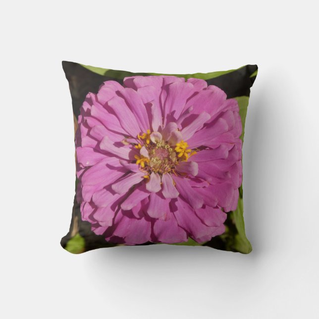 Trend Throw Pillow With Purple Zinnia (Front)