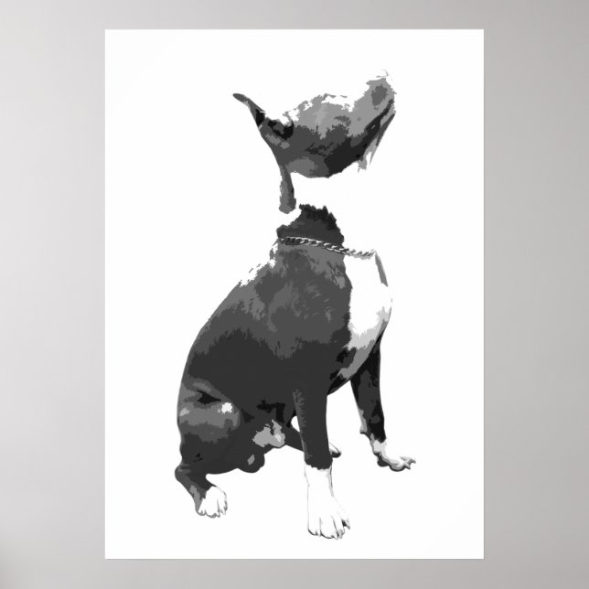 Trendy black and white Pit Bull dog Poster (Front)