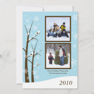 Trendy brown blue snowflakes holiday photo card