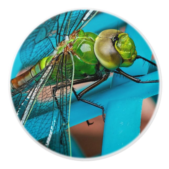 Trendy Drawer Cabinet Pulls Dragonfly (Front)