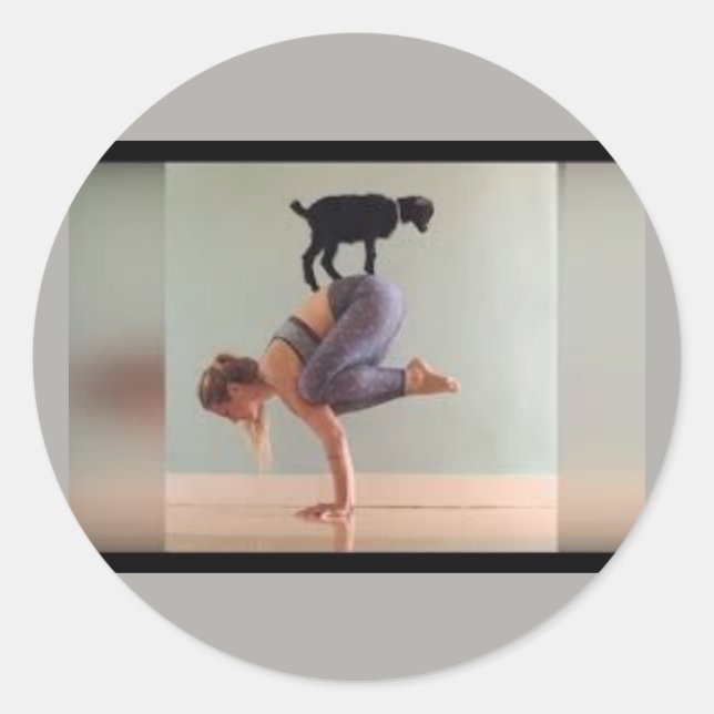 Trendy Goat Yoga,  Ladiy & Goat on Sticker (Front)