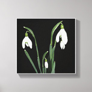 Trendy modern minimalist snowdrop flower fine art canvas print