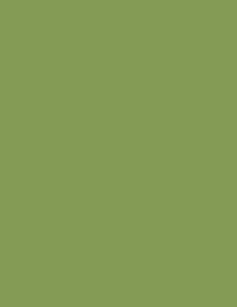 Olive Green Colour Background Gifts On Zazzle Ca