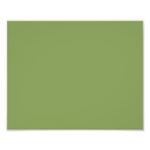 Trendy Moss Green Background Colour Customize this Photo Print