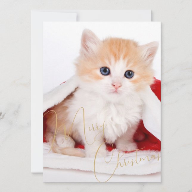 Trendy Pet Lovers Merry Christmas Holiday Card (Front)