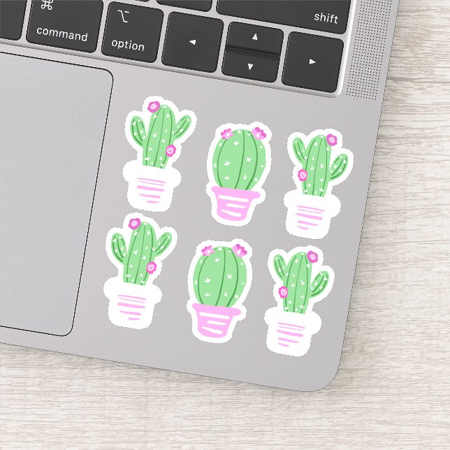 Trendy Pink Flowers Potted Cactus (Detail)