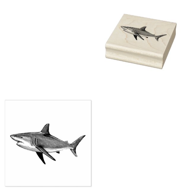 Trendy Shark  Rubber Stamp (Stamped)