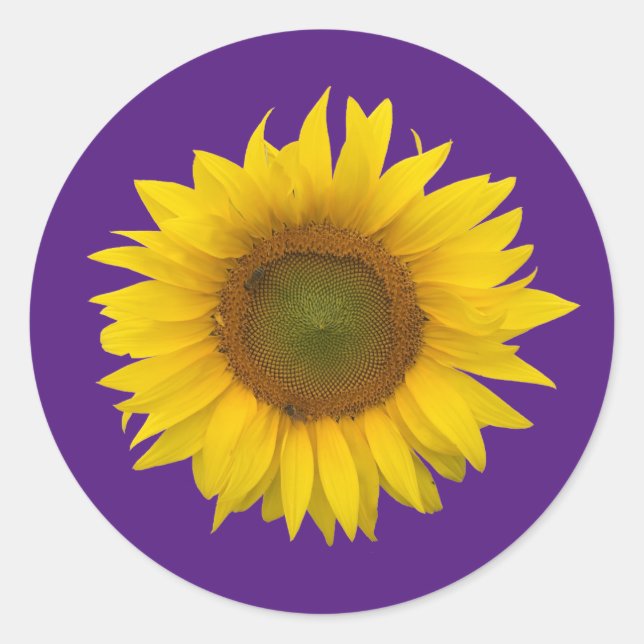  Trendy Sunflower Cute Floral Purple Classic Round Sticker (Front)