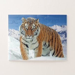 Trendy Tiger Snow Mountains Animal Photo Jigsaw Puzzle
