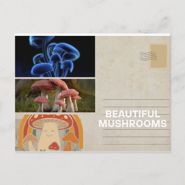 trendy whimsical mushroom poster card (Front)