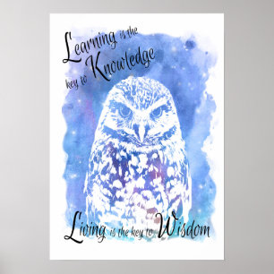 Trendy wise owl blue water color inspiration poster