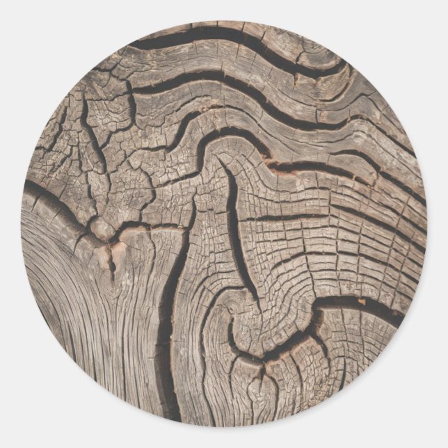 Trendy Wood Wooden Tree Logs Classic Round Sticker (Front)
