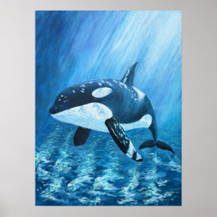 Trent Orca Killer Whale Print ALL SIZES