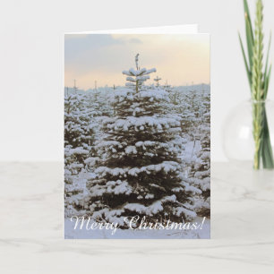 Très belle carte de voeux de Noël!