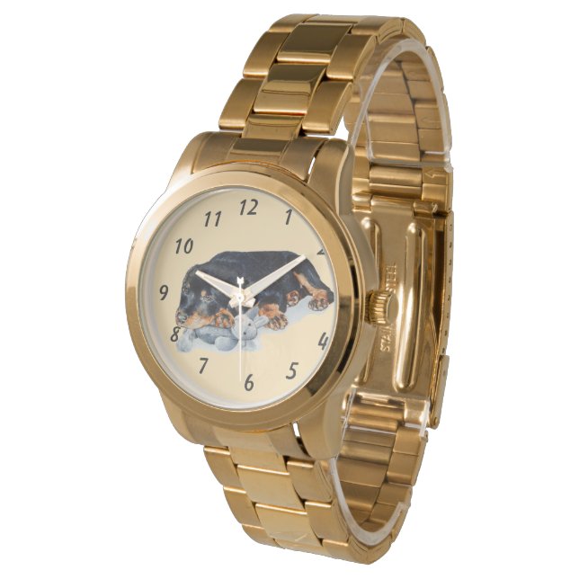 très mignon rottweiler chiot montre chien (Incliné)