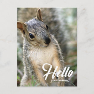 Très mignonne jolie carte postale de bonjour d'écu