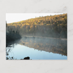 Trestle Pine Morning Postcard