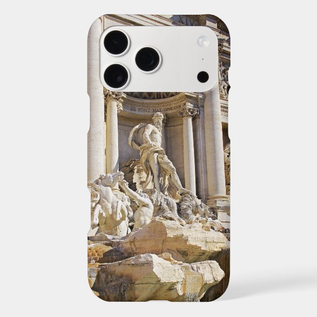 Trevi Fountain Rome Photography (Back)