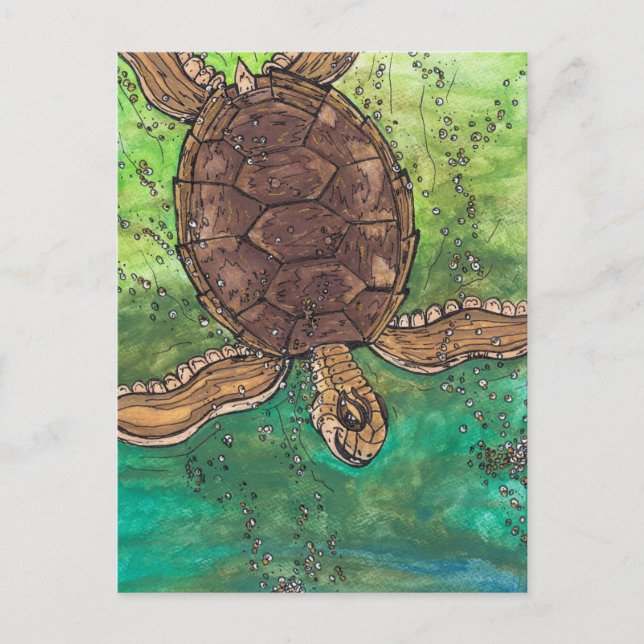 Trevor the Turtle Postcard (Front)