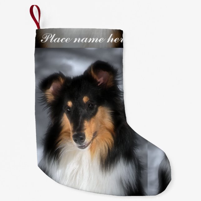 Tri Collie Christmas Small Christmas Stocking (Front)