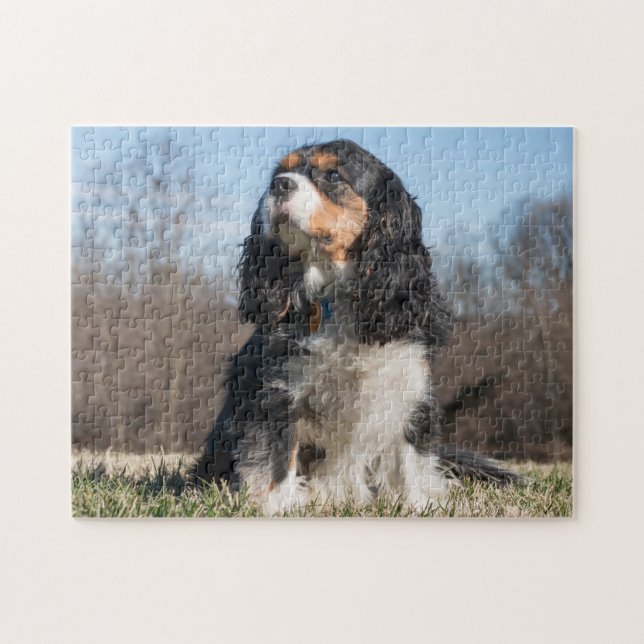 Tri Color Cavalier King Charles Spaniel Dog Jigsaw Puzzle (Horizontal)