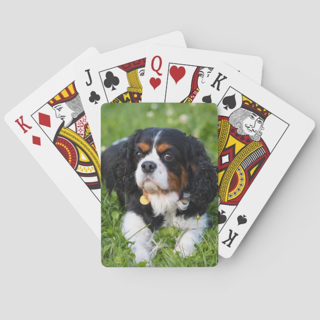 Tri Color Cavalier King Charles Spaniel Dog Playing Cards (Back)