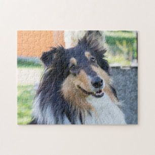 Tri Color Collie Puppy Dog Jigsaw Puzzle