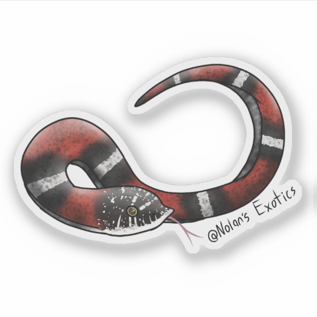 Tri-color Hognose sticker (Front)