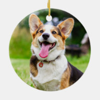 Tri Color Pembroke Welsh Corgi Puppy Dog Ceramic Ornament