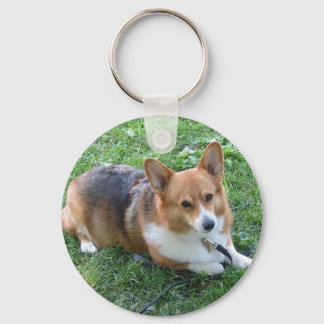 TRI-COLORED PEM IN GRASS KEYCHAIN