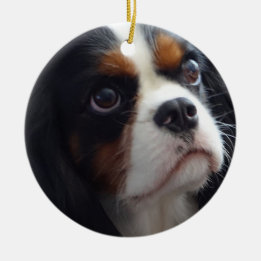 Tri-Colour Cavalier Ceramic Ornament