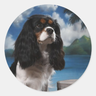 Tri colour Cavalier King Charles Spaniel Classic Round Sticker
