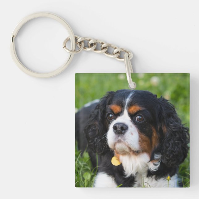 Tri Colour Cavalier King Charles Spaniel Dog Keychain (Front)