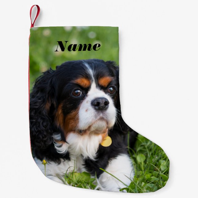 Tri Colour Cavalier King Charles Spaniel Dog Small Christmas Stocking (Front)