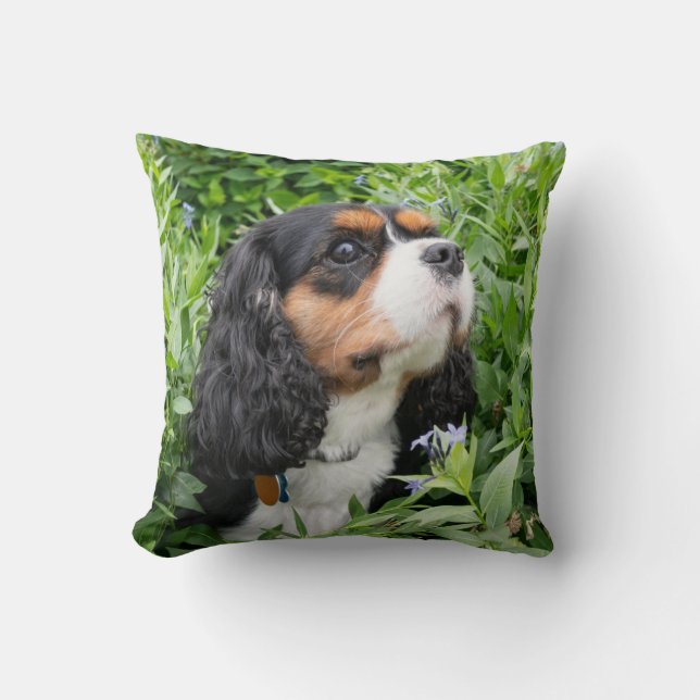 Tri Colour Cavalier King Charles Spaniel Dog  Throw Pillow (Front)