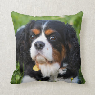 Tri Colour Cavalier King Charles Spaniel Dog Throw Pillow