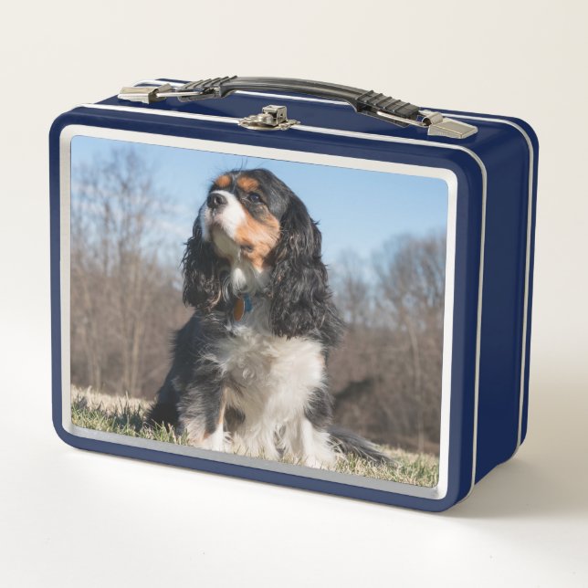 Tri Colour Cavalier King Charles Spaniel Metal Lunch Box (Front)