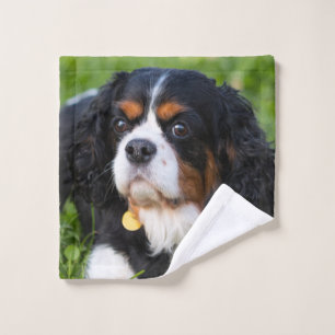 Tri Colour Cavalier King Charles Spaniel Puppy Dog Wash Cloth